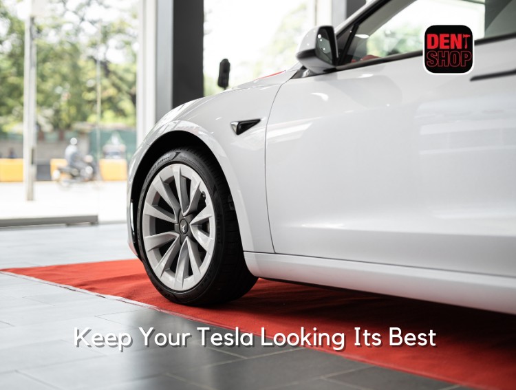 Keep Your Tesla Looking Its Best